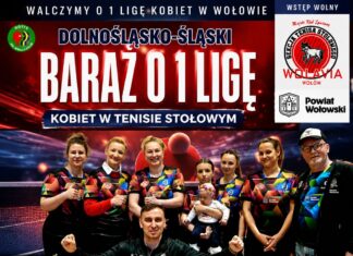 MKS Wolavia Wołów walczy o 1 ligę